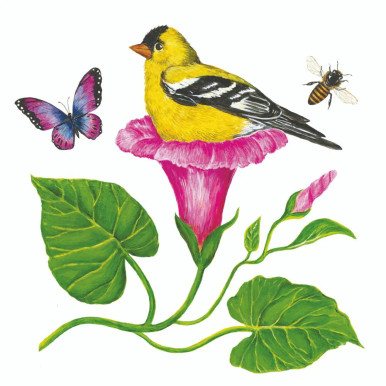 Paperproducts Design Beverage Napkins, Morning Glory Nest - 2 Packs (1254008)