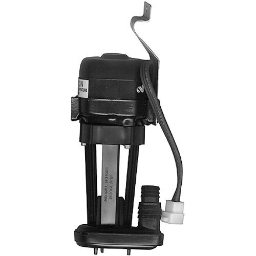 AllPoints 681234 Pump Motor Assembly - 208/240V