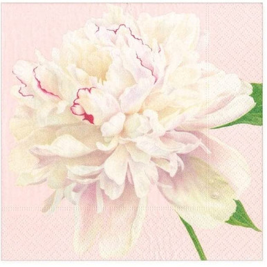 Caspari Paper Beverage Napkins, Duchess Peonies in Blush - 2 Packs (16890C)