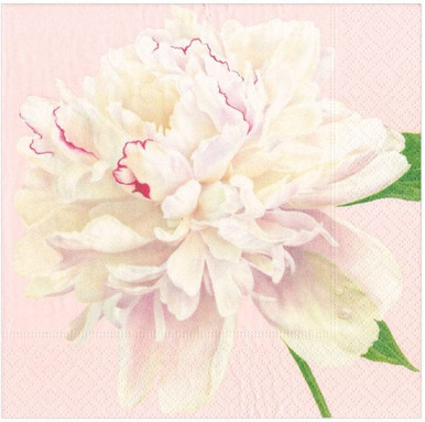 Caspari Paper Dinner Napkins, Duchess Peonies in Blush - 2 Packs (16890D)