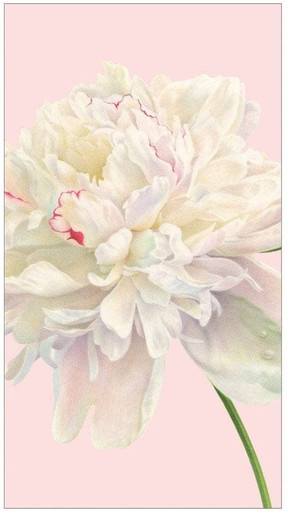 Caspari Paper Guest Towel Napkins, Duchess Peonies in Blush - 2 Packs (16890G)