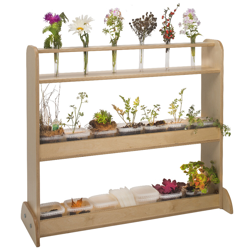 Whitney Brothers WB2450 Nature Shelf - 34" x 12" x 30"