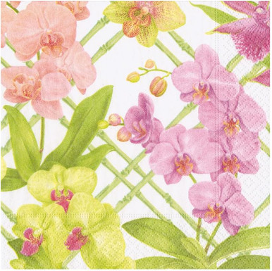 Caspari Paper Luncheon Napkins, Orchid Conservatory - 2 Packs (18370L)