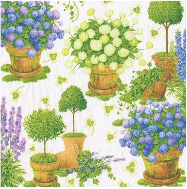 Caspari Paper Beverage Napkins, Potted Hydrangeas - 2 Packs (18390C)