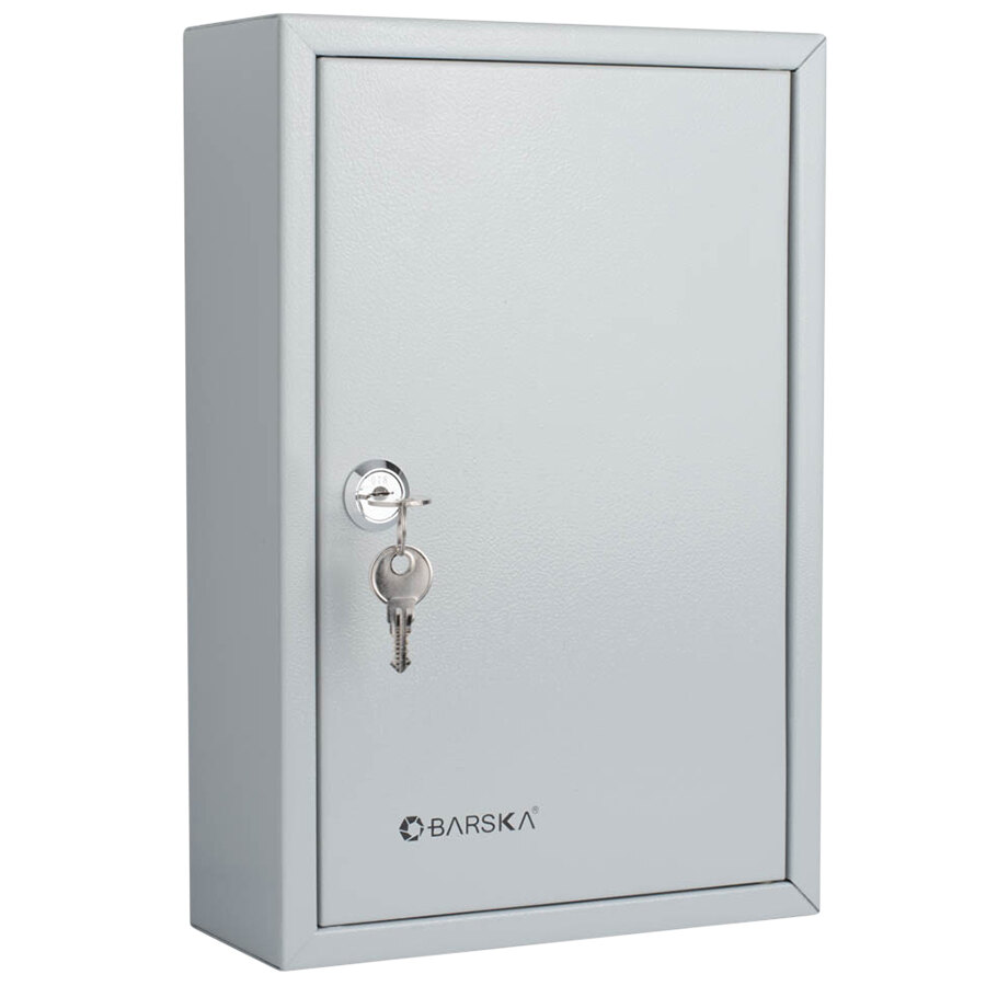 Barska CB13364 7 3/4" x 3" x 11 1/2" Gray Steel 40-Key Cabinet with Key Lock