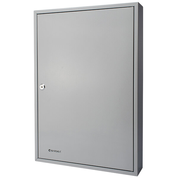 Barska CB12492 15" x 3" x 22" Gray Steel 160-Key Cabinet with Key Lock and Index