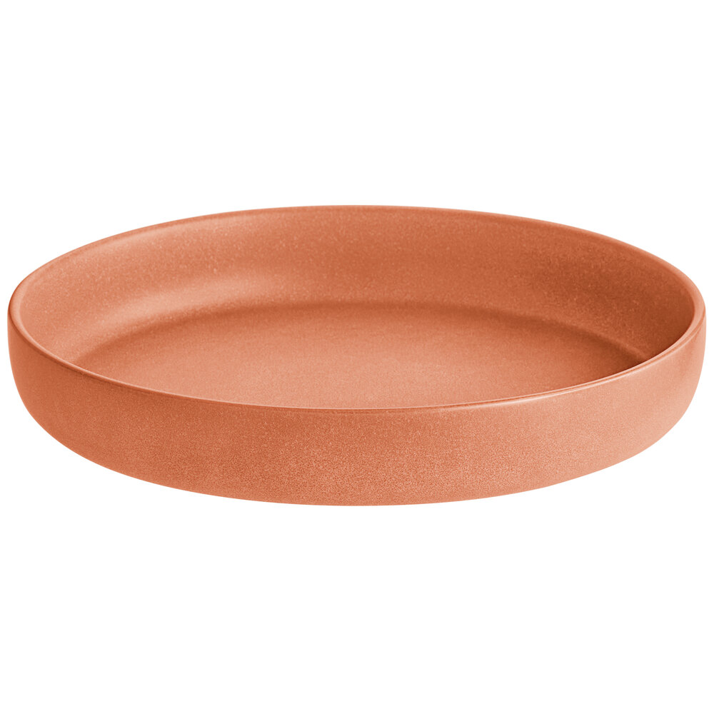 Acopa Pangea 22 oz. Terra Cotta Matte Porcelain Pasta Bowl - Sample