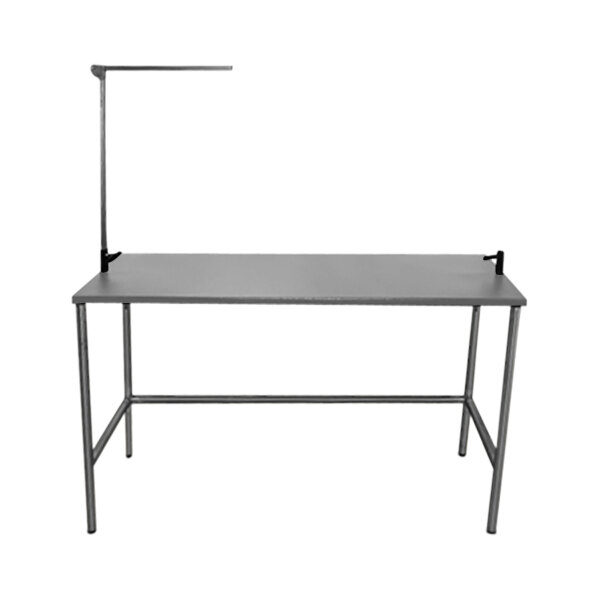 Groomer's Best GB48TST-G 24" x 48" x 72" Gray Stainless Steel Stationary Grooming Table with Arm