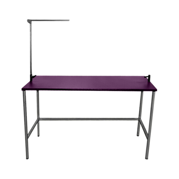Groomer's Best GB60TST-PU 24" x 60" x 72" Purple Stainless Steel Stationary Grooming Table with Arm