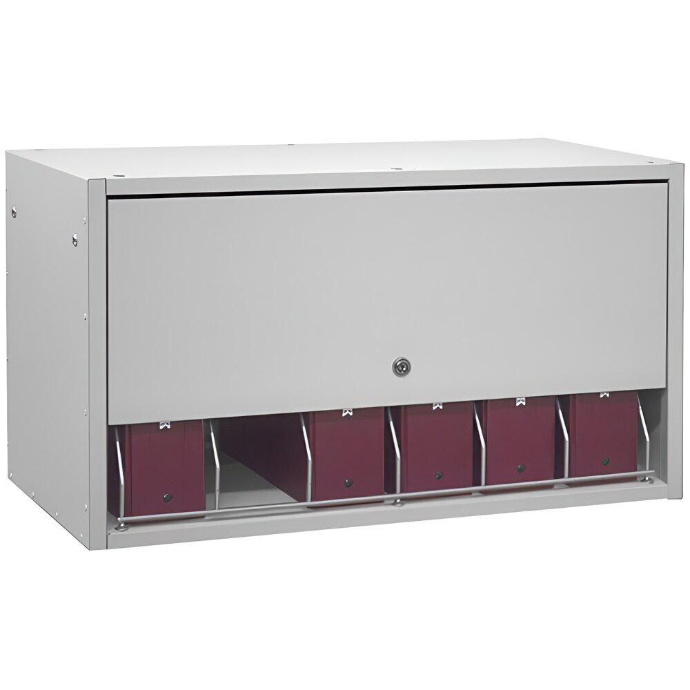 Omnimed Light Gray Locking Panel for Cubbie File Racks 266010-LG