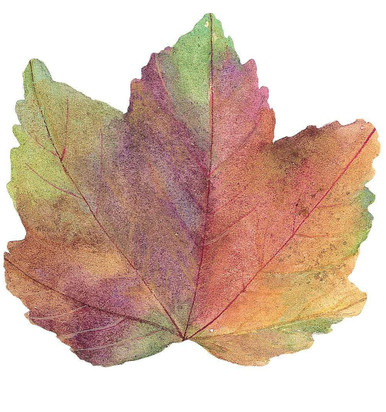 Caspari Die-Cut Placemat, Autumn Leaf - Set of 4 (3066PMS)