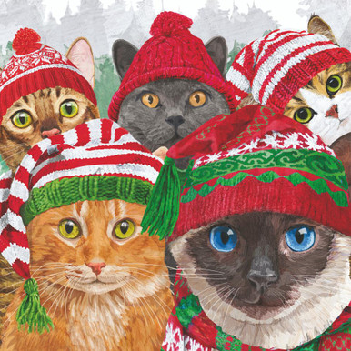 Paperproducts Design Beverage Napkins, Cat Usie - 2 Packs (325002888)