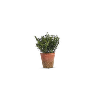 Raz Imports Soft Touch Potted Herb, Rosemary - 12" (4402037C)