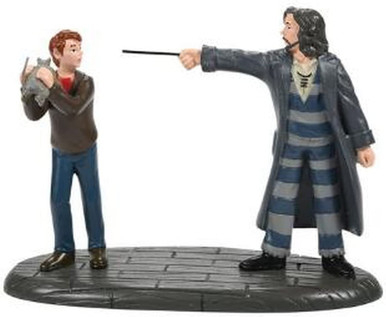Department 56 Harry Potter Village, Come Out and Play, Peter! (6007756)