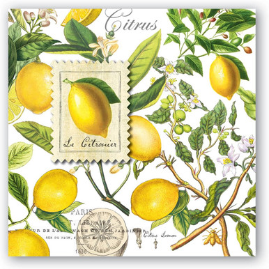 Michel Design Works Beverage Napkins, Lemon Basil - 2 Packs (814008)