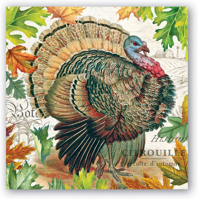 Michel Design Works Paper Beverage Napkins, Fall Harvest Turkey - 2 Packs (814332B)