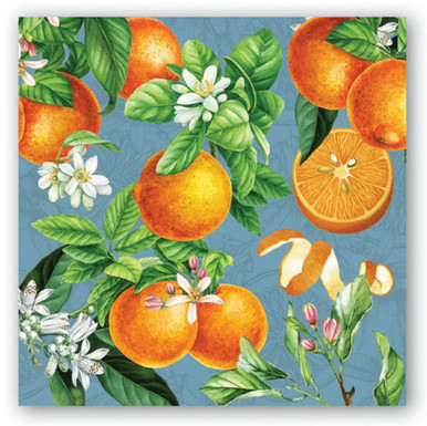 Michel Design Works Paper Beverage Napkins, L'Orange - 2 Packs (814437)