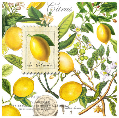 Michel Design Works Luncheon Napkins, Lemon Basil - 2 packs (817008)