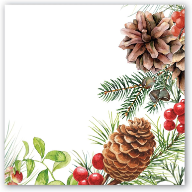 Michel Design Works Paper Luncheon Napkins, White Spruce - 2 Packs (817362)
