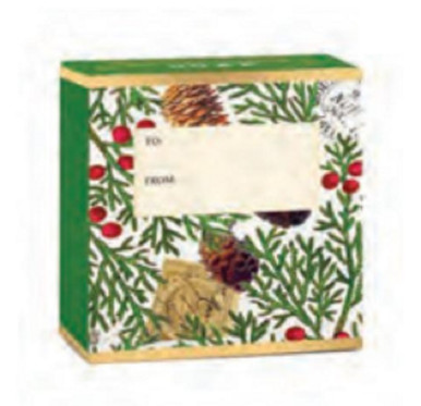 Michel Design Works Holiday Boxed Gift Soap, Spruce (8750001D)