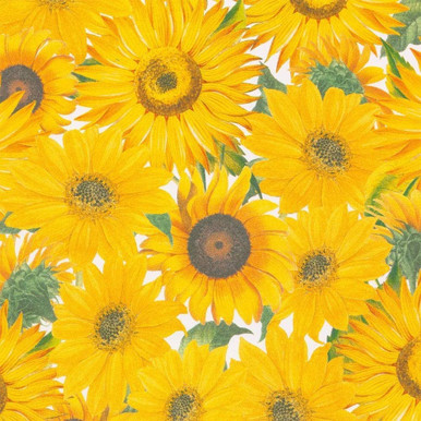 Caspari 8' Continuous Gift Wrap Roll, Sunflowers (9799RC)