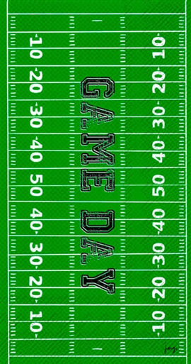 Boston International IHR Guest Towel, Game Day Field (BF035300)