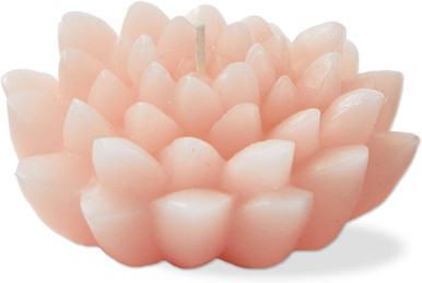 TAG Blossom Flower Shaped Novelty Paraffin Wax Candle Coral (G19964)