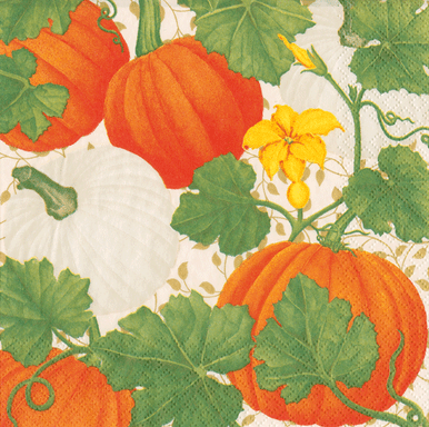 Caspari Paper Beverage Napkins, Pumpkin Chintz White - 2 Packs (18260C)