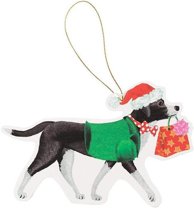 Caspari Die-Cut Gift Tags, Christmas Delivery - 2 Packs (TAG9669)