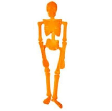 One Hundred 80 Degrees Flocked Skeleton, Light Orange (WH0058LIGHTORANGE)