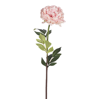 Raz Imports, 25" Real Touch Peony - Light Pink (XF4002107LTPINK)