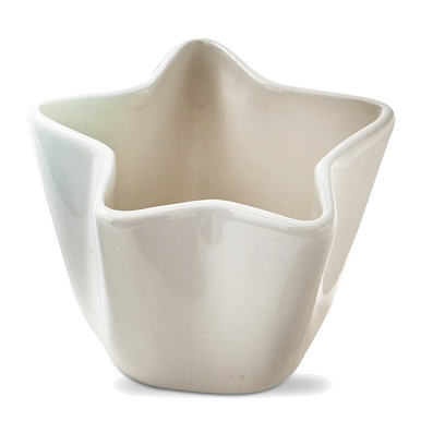 TAG Star Bowl, White (G18022WHITE)